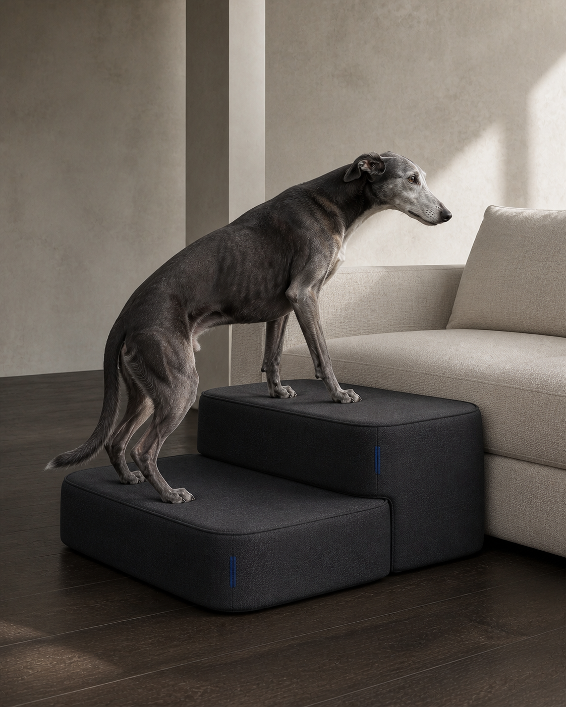 Older dog using anthracite Rise Step modules beside a sofa